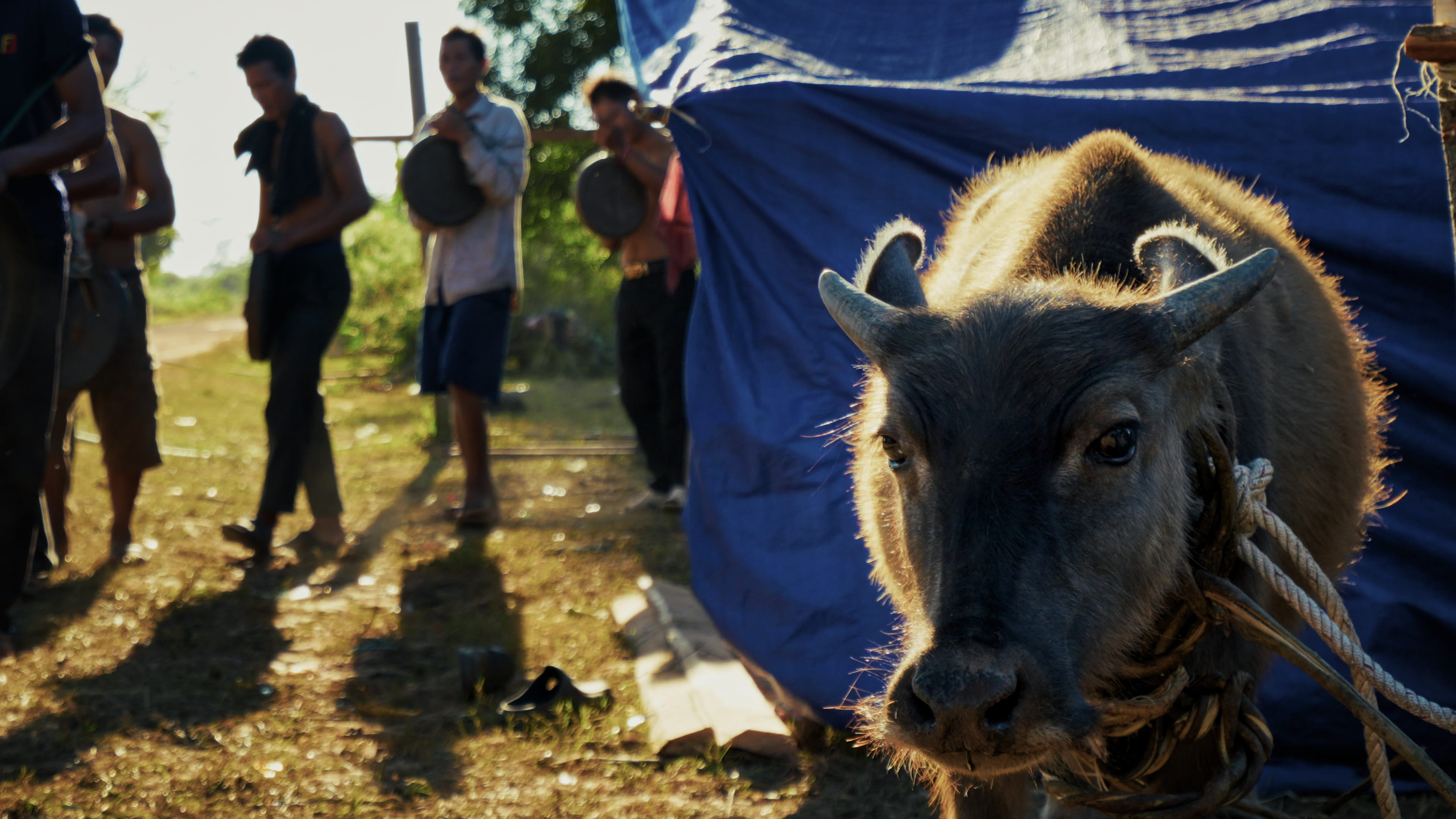 Scena di Kimi e Horng in Cambogia